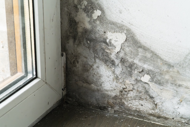 عدم اجرای عایق رطوبتی منجر به ایجاد کپک و شوره در ساختمان شده است.